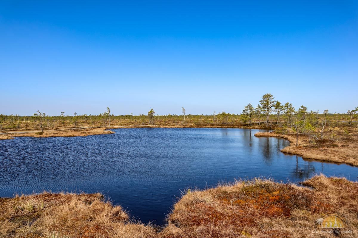 Soomaa Park Narodowy Estonia atrakcje jezioro 11